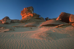Wste, Ost-Sahara, gypten-Expedition: Aufgelste Plateaulandschaft der Westlichen Wste im Abendlicht